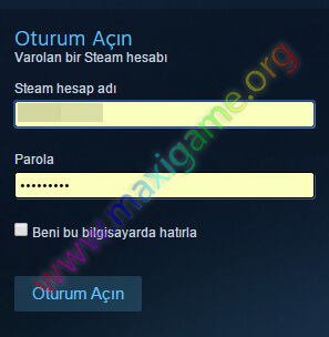 steam cüzdan bakiyesi 2