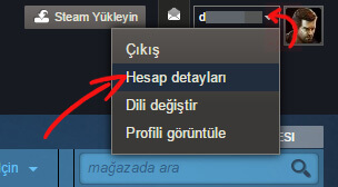 steam hesap bakiyesi 3